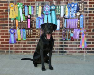 3-23-17 first year awards sm