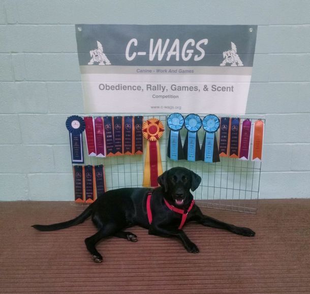 4-30-17 Cwags National sm