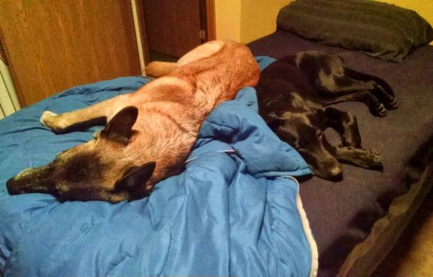 11-15-16-not-gonna-work-sm