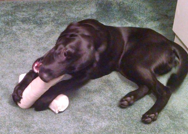 11-16-15-two-bones-r-better-sm