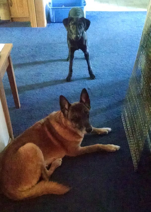 11-16-16-hall-troll-sm