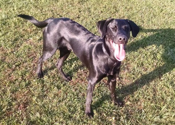 11-16-16-happy-and-shiney-sm