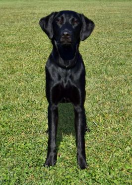 11-18-16-almost-8-mo-old-1-sm