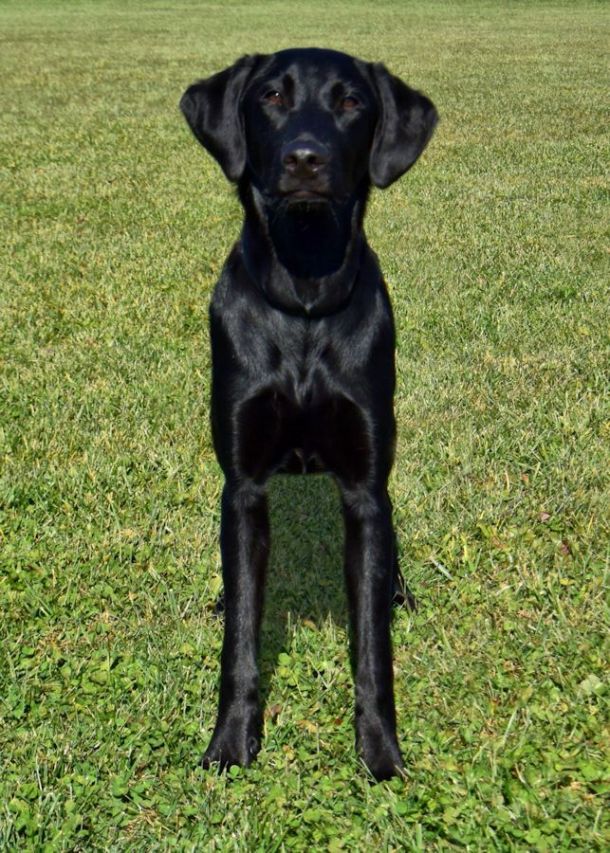 11-18-16-almost-8-mo-old-1-sm