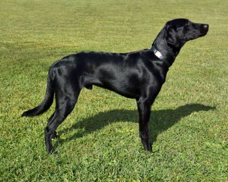 11-18-16-almost-8-mo-old-2-sm