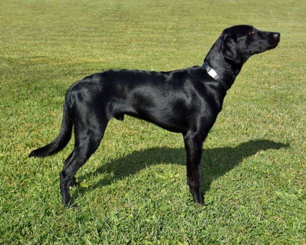 11-18-16-almost-8-mo-old-2-sm