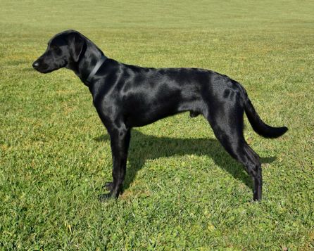 11-18-16-almost-8-mo-old-sm