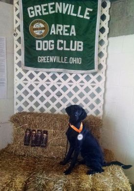 11-6-16-open-title-sm