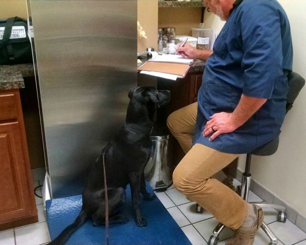 11-9-16-vet-visit-sm