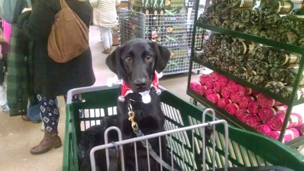 12-13-16-3-waiting-patiently-sm