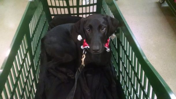 12-13-16-4-just-chillin-sm