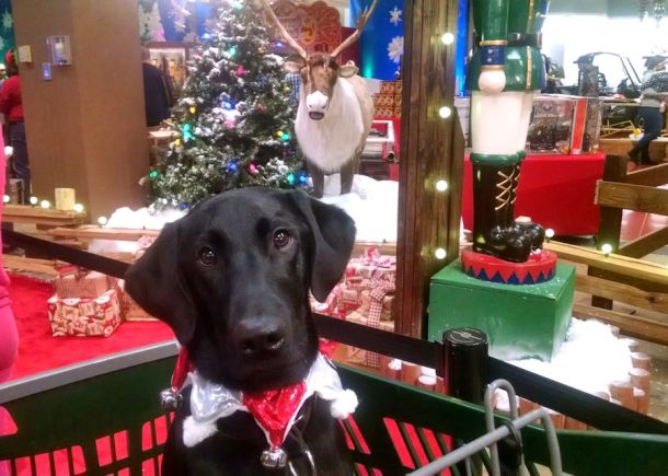 12-13-16-5-almost-to-santa-sm