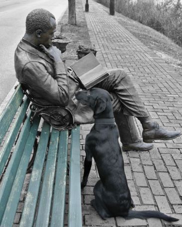 1-16-17-week-3-photo-tells-a-story-combo-sm