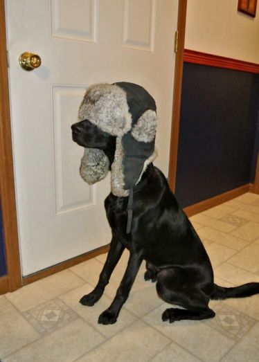 12-9-16-week-2-challenge-sm