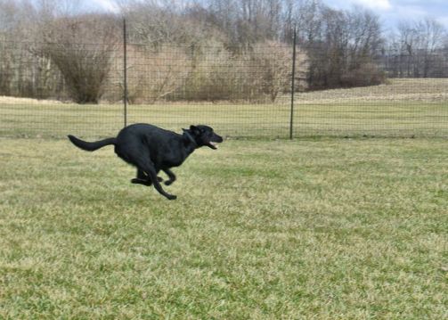 1-20-17-gonna-trip-sm