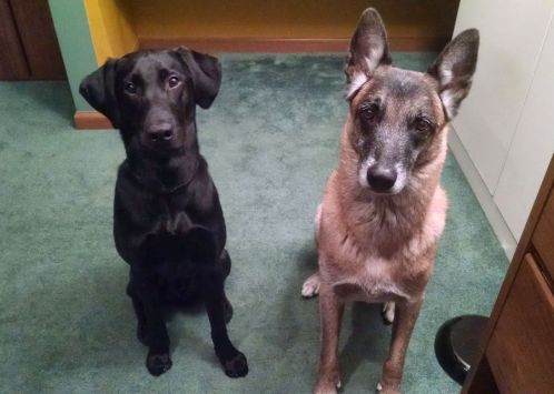 1-24-16-10-mo-old-sm