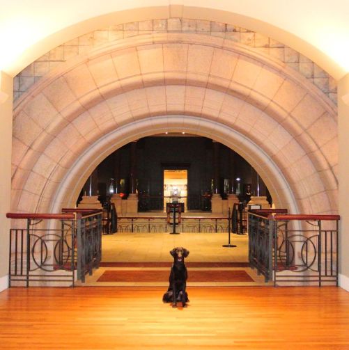 1-25-17-art-museum-arch-sm