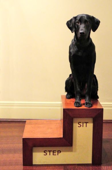 1-25-17-art-museum-sit-sm