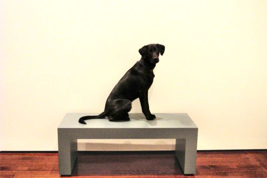 1-25-17-art-museum-sm