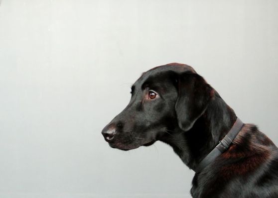 1-25-17-negative-space-sm