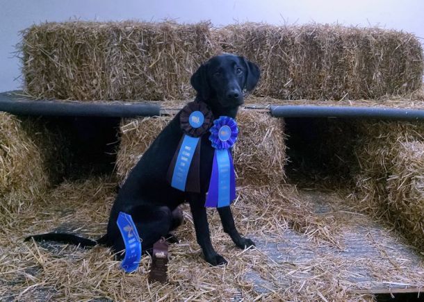 12-4-16-master-title-sm