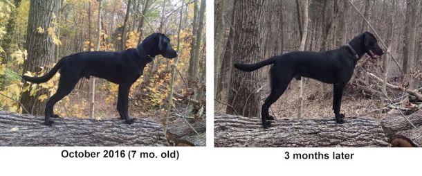 2-11-17-at-10-half-mo-old-comparison-sm