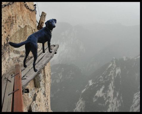 2-15-17-week-7-location-fearless