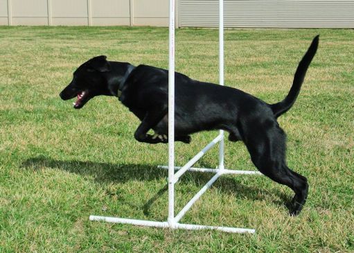 2-24-17-start-of-jump-training-sm