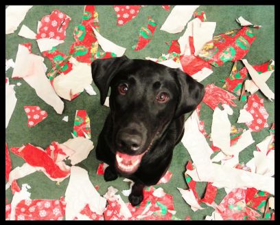 2-9-17-week-6-make-a-mess-frame-sm