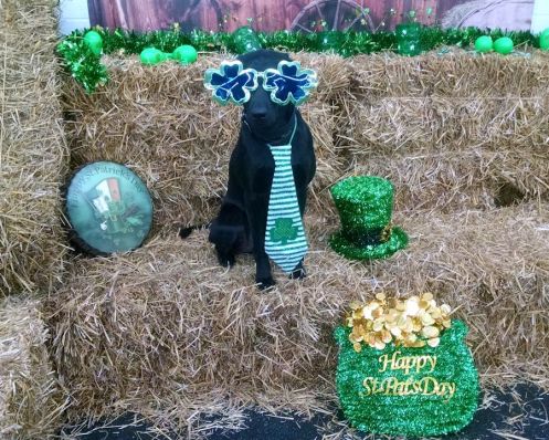 3-18-17 St Pats day sm