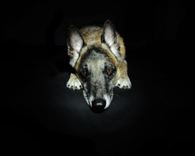 3-28-17 Low Key 2 sm