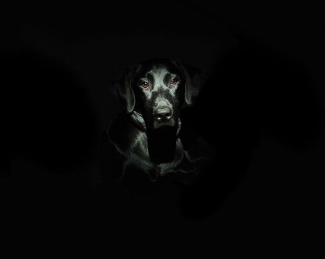 3-28-17 Low Key 5 sm