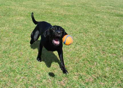 3-5-17 Almost got it sm