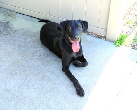 3-5-17 Shady spot sm