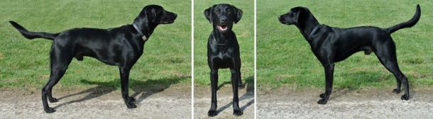 3-29-17 One year old sm