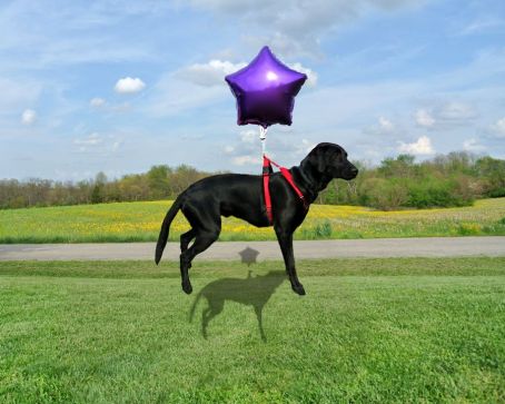 4-19-17 Defy gravity sm