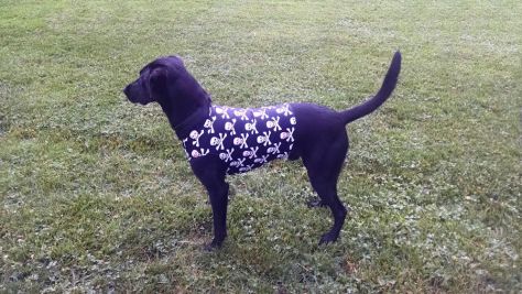 6-14-17 SuperFly suit sm