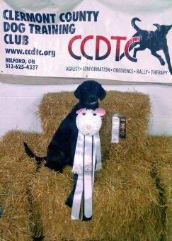 6-22-17 RATCHX phone photo sm