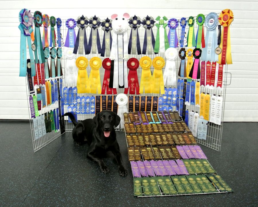 9-20-17 First year of trials sm